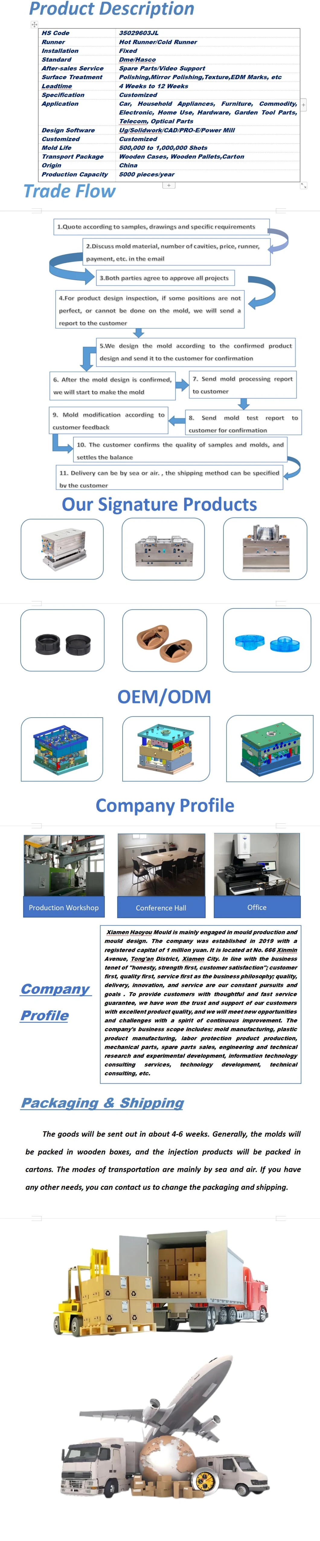 Customized Auto Parts/Electronic Equipment/Medical Parts and Other Plastic Injection Molds Die-Casting Molds Plastic Injection Parts